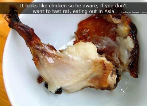 [rat_for_dinner_0093.jpg]