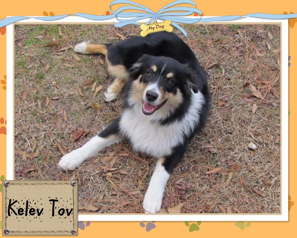 [Scrapbook 13_03[2].jpg]