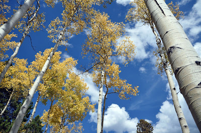 Kenosha Pass, Colorado