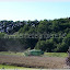 La moisson à la ferme pédagogique