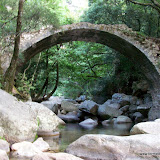 Corse