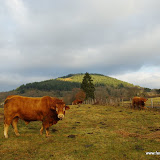 Le Mont Larron