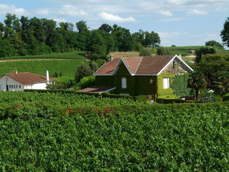 Saint Emilion P1010172