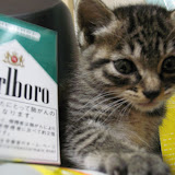 煙草と…