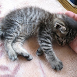 手を枕にして寝た！