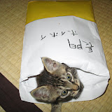 寝起き