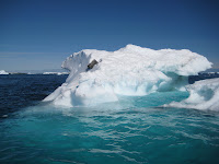 IMG_1262.jpg