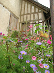 dom-marieantoinette-41.jpg