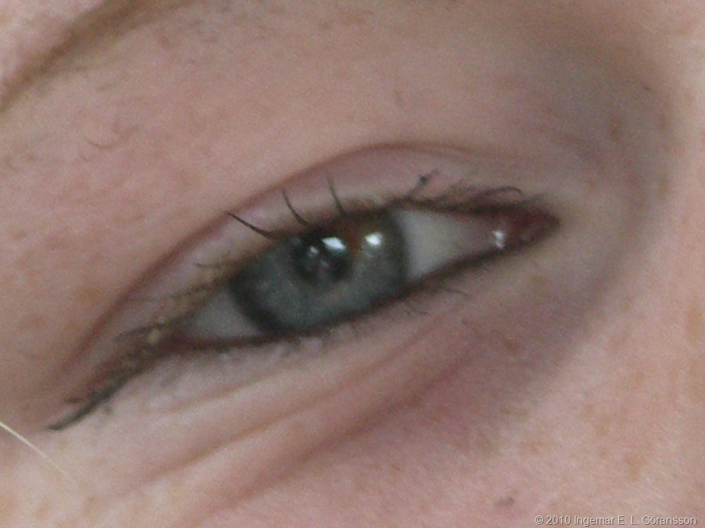 [eye[5].jpg]