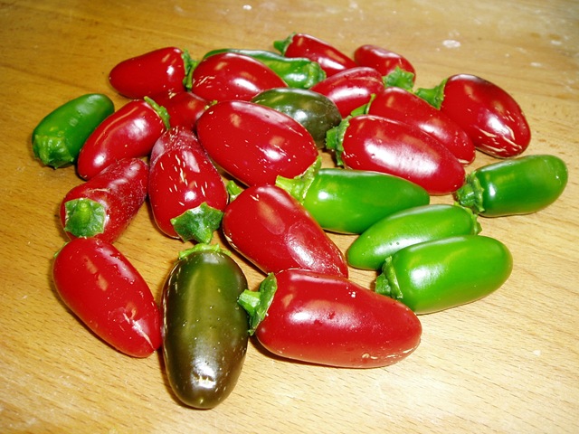 [Jalapenos[2].jpg]