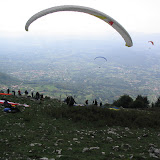 Calvisi