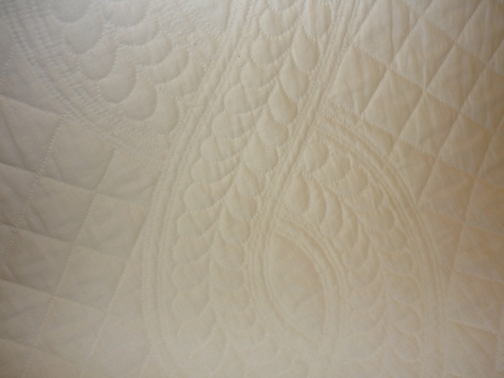 [P10209831.jpg]