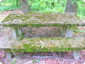 picnic-bench