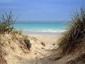 dune sabbiose Lido Marini dune sabbiose Lido Marini.jpg