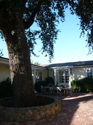[CaliforniaFall20100075.jpg]