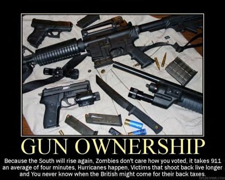 [Gun ownership[3].jpg]