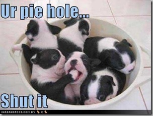 Pie Hole2