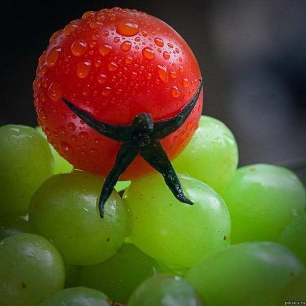 [Atlas tomato[3].jpg]