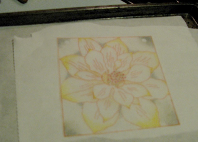 [IMG_7321crop2.jpg]