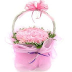 carnations-china flowers
