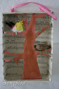 Shadowbox Songbird is nesting