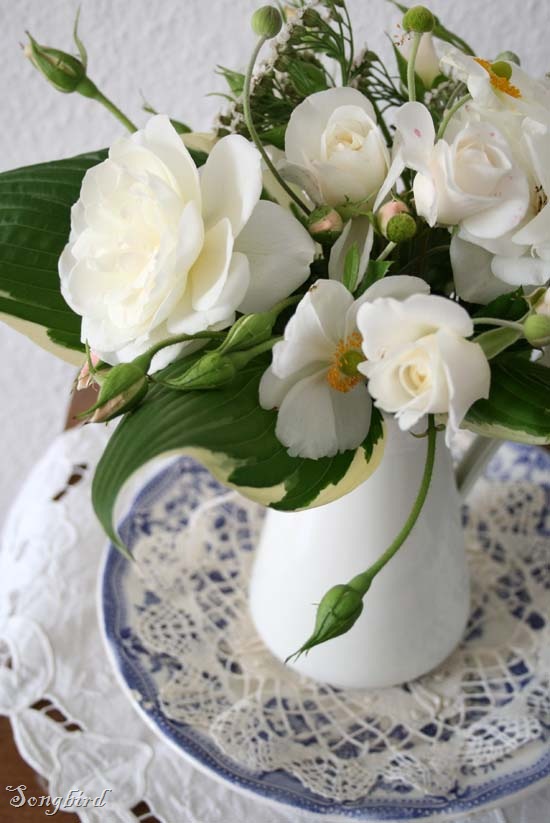 [White roses[7].jpg]