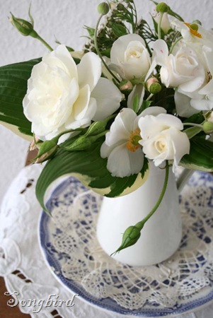White roses