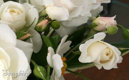White roses3