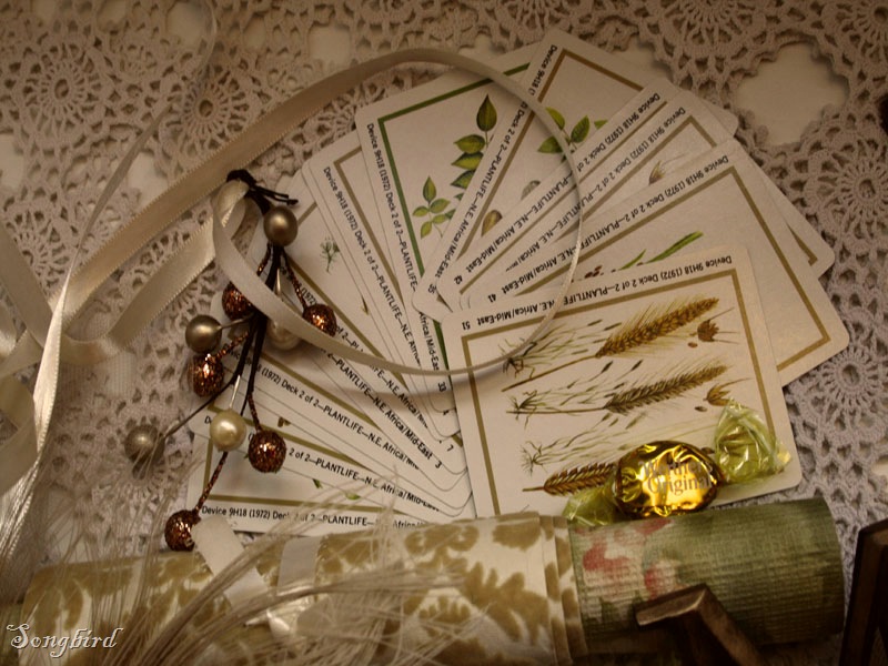 [Autumn cards[26].jpg]