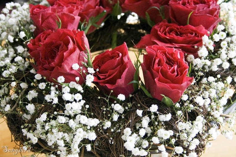 [red roses closeup[3].jpg]