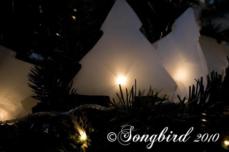 [Xmas-lights-garland-36.jpg]
