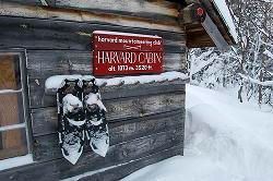 Harvard Cabin