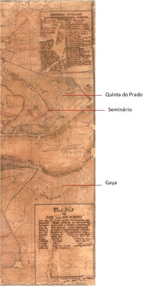 24nascente