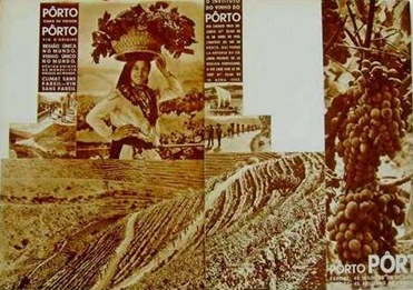 1934 vinho 1934 vinho
