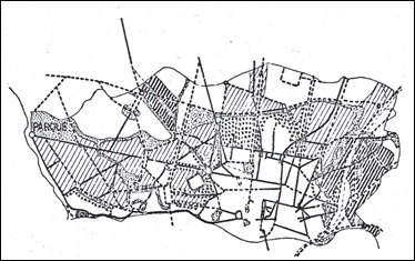muz35
