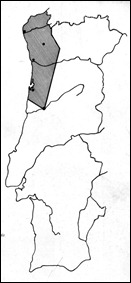 inq90 inq90