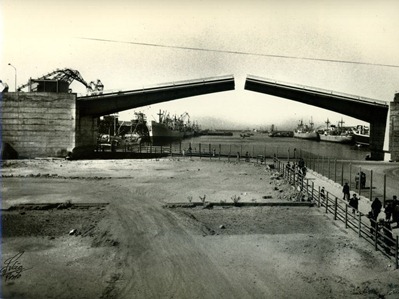 auz223