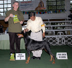 PHI Neiva Erjito Dog Show Mar 08 007.JPG
