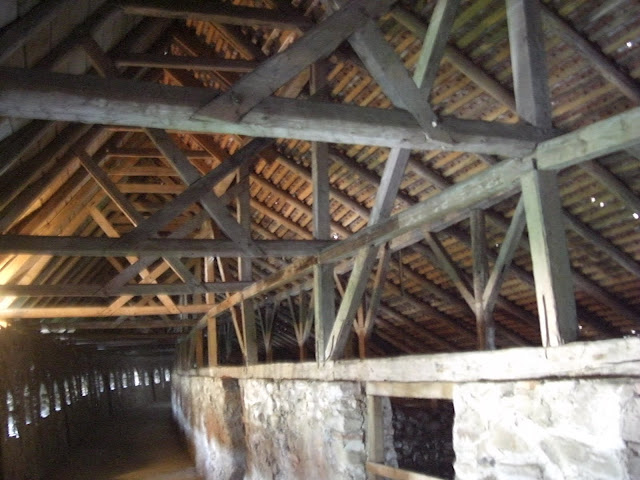 CIMG0259.JPG