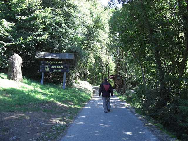 CIMG0155.JPG
