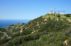 Malibu Angeles Hiking