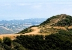Los Angeles Hike