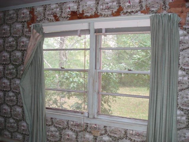 [DSC024373.jpg]