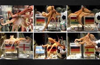 pulpo-paul-mundial2010