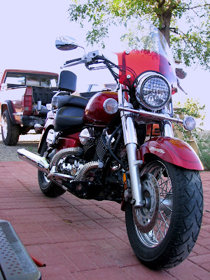 Austin Mini headlight guard