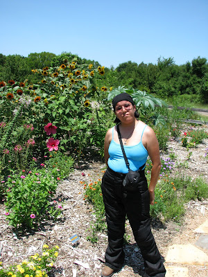Hibiscus flowers are big