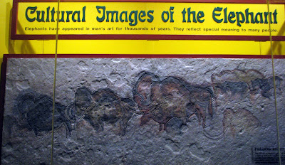 Cultural images of elephants