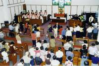 Vineyard at CMC.jpg