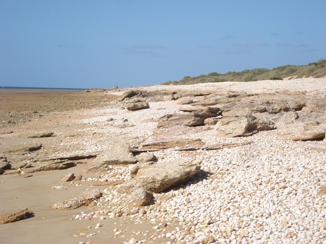 [EXMOUTHWed26thAugust0024.jpg]