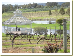 Swan Valley 005